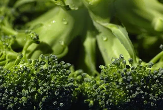 Broccoli Nutrition Facts