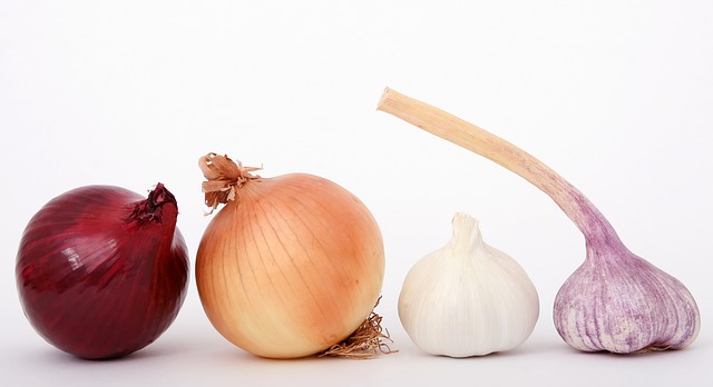 Prebiotics