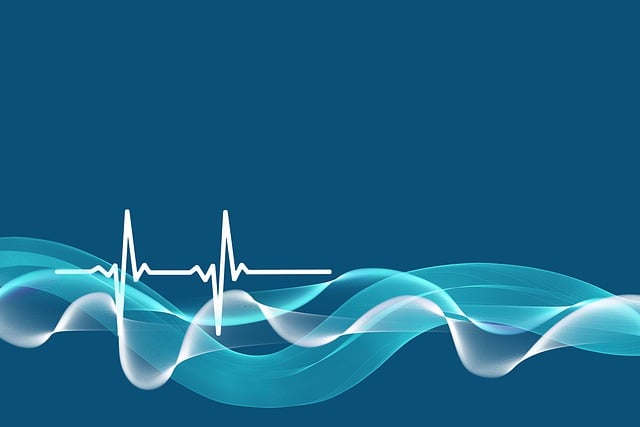 is healthcare information technology a good career path